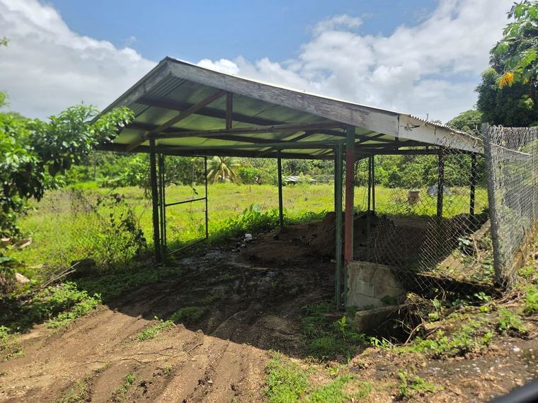The predicament in Plum Mitan: Residents say closure of farm led to job losses, community challenges